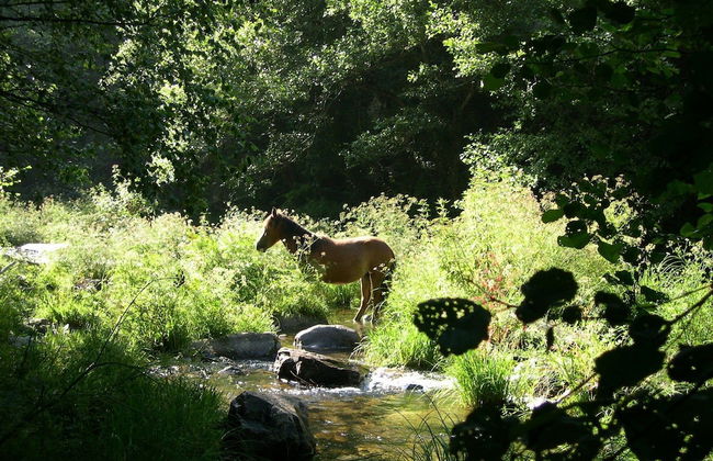 Casas Viduedo - Foto 45