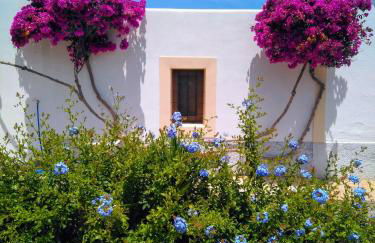 Can Pep Pardal - Foto 11