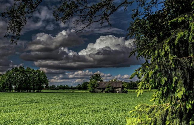 Pet-friendly Getaway - Photo 17