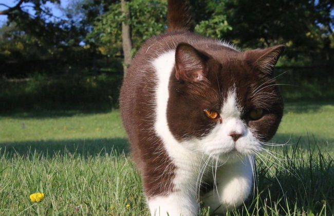 Agriturismo Valdifiori - Photo 29