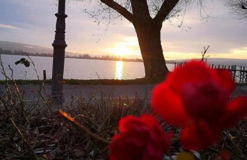 Seeblick Wadee - Foto 19