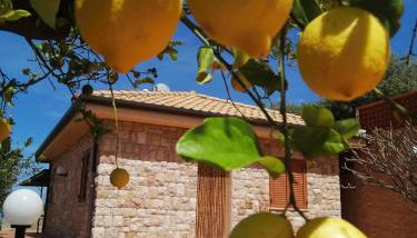 Villa Verde - Foto 5