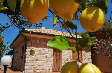 Villa Verde - Foto 5