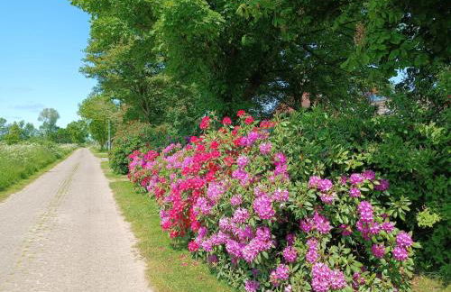 Ferienhaus Bonishof - Foto 13