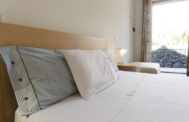 Viola nel Parco - Foto 12