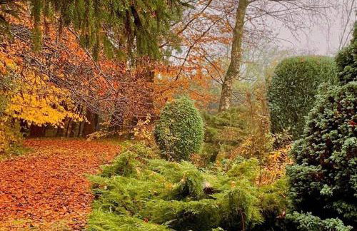 Hayes Suite - Foto 40