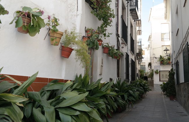 Casa San Tomás - Foto 23