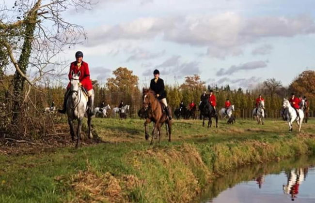 Apartment in Utrecht Near Historic Windmill - Photo 33