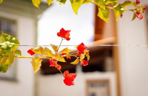 Casa do Contrato - Diamantina - MG - Foto 43