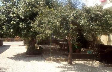 Apartmani Marija - Foto 15