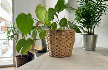 T2 - Cité des congrès - 5' à pied de la gare - Parking - Foto 7