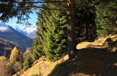 Chalet du Bastan - Foto 29