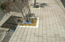 RECANTO K9 - SERRA NEGRA SP. No verão e no inverno - Foto 34