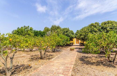 Finca Son Blat - Photo 32