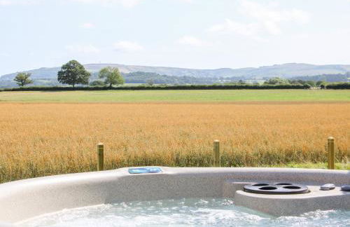 Withy Willows - Foto 17