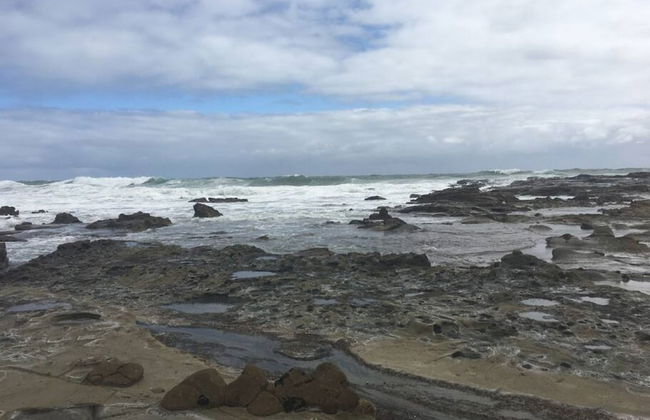 Your Ocean Oasis Ocean Country Views Spa Pet Friendly Fireplace - Foto 74