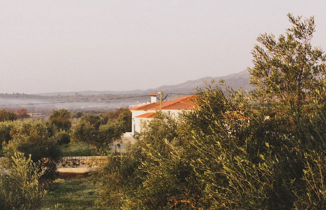 Chão do Ribeirinho - Photo 42