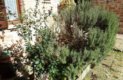 Agriturismo La Mela - Photo 21