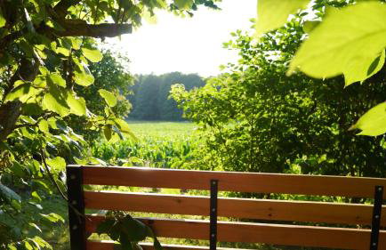 Ferienwohnungen am Krakower See - Foto 27