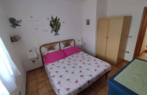 Casa Flamingo House - Photo 31