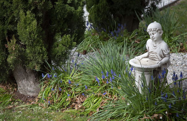 Settlers Cottage Motel - Foto 43