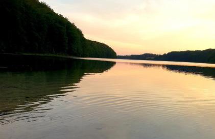 Siedlisko pod Aniołem - Foto 77