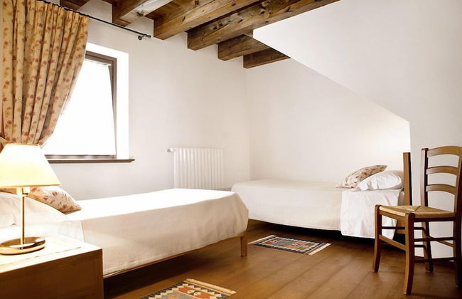 L'Uva e le stelle - Foto 4