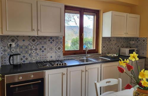 Farmhouse in Monte Santa Maria Tiberina with garden - Foto 10