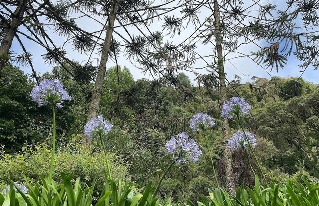 Vale do Lajeado - Campos do Jordão - Photo 53