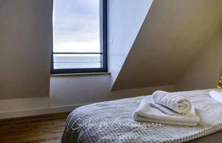 Vue imprenable exceptionnelle sur l'océan pour cette résidence haut de gamme avec piano DOELAN - Foto 19