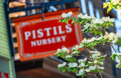 The Bohemian Spirit - Live Music, Eateries & Bars - Foto 24