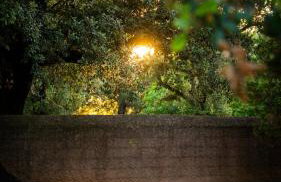 Agroturisme Son Cardaix - Foto 19
