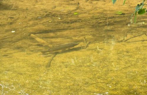 Little Turkey Ranch - Foto 21