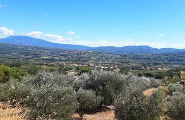 L'Instant Provence - Foto 15