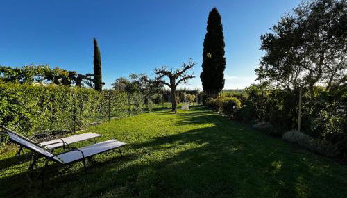 Podere 239 - Appartamento La Stalla - Foto 3, Garden, sunbed, Garden view