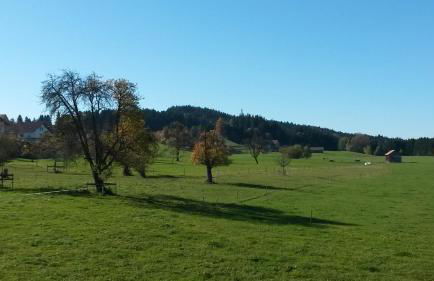 Herzberger Ferienwohnungen - Foto 24