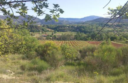 L'Aubépine - Foto 7