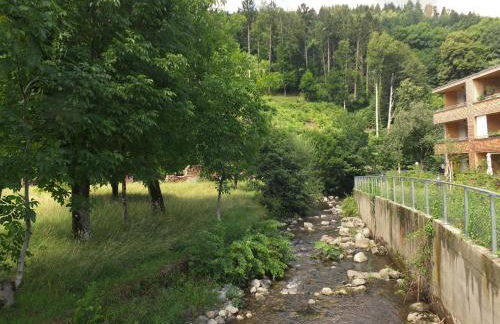 Barrierefreies Apartment Ursulinenhof - Foto 7