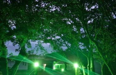 Recanto Bamboo Verde - Foto 11