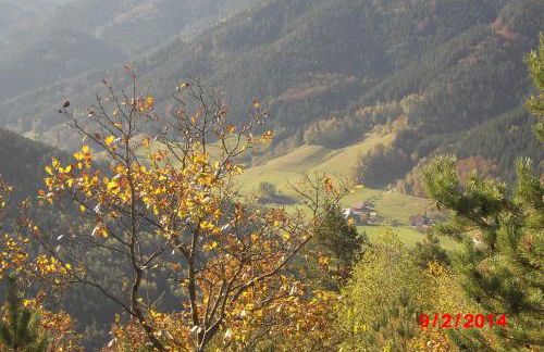 Urlaub auf dem Hänslehof - Foto 4