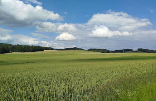 Altes Otto Haus - Foto 64