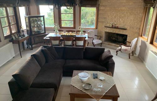 Elis superb villa - Foto 21