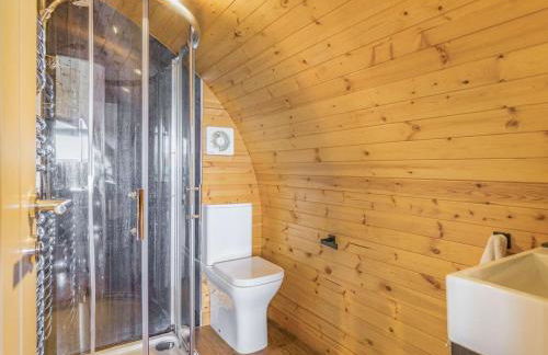 The Pod overlooking Dartmoor - Foto 5