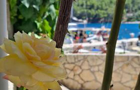 Guesthouse Pijerino - Foto 19