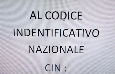ALLOGGIO VIOLA nel CUORE DI SORIANO - Foto 20