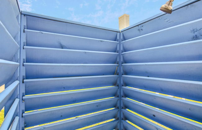 Birds of Paradise - Foto 18