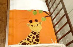 La casa sul fontanile - Foto 9