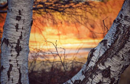 Il Pianerottolo - Foto 21