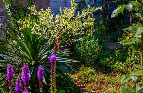 Little garden house - Foto 29