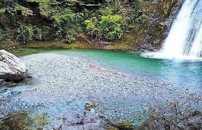 Mountain Olympus and Ancient Dion - Private Full-Day Tour - Foto 1